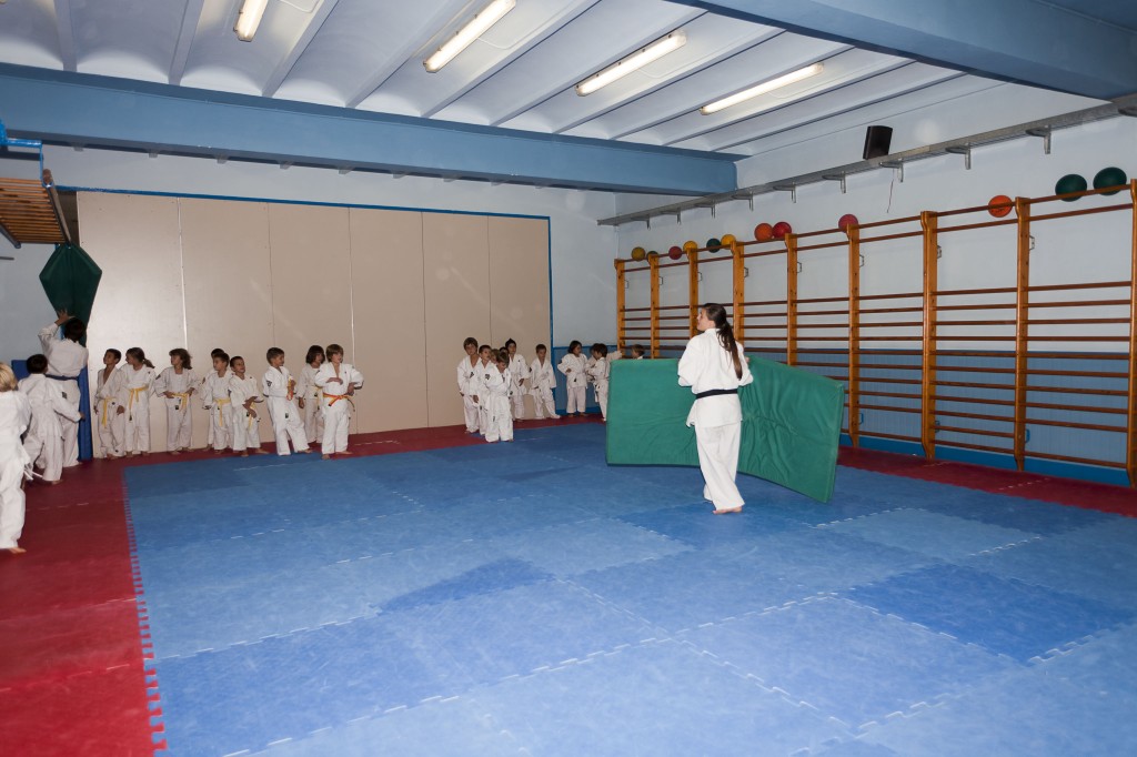 judo-oct-2010098-151210.jpg